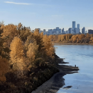 Edmonton over the river. Indigenous led walks in Edmonton.