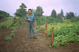 Photo from Danny Beaton: 'Lehman in a Garden'