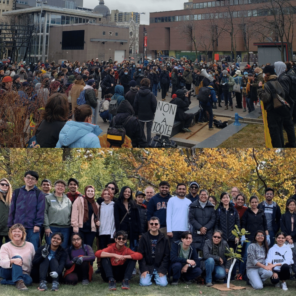 Protestors at an action and tree planters planting trees. Our financial statement can be found on this page. Where does the money go to with Sierra Club? Who finances the Sierra Club?