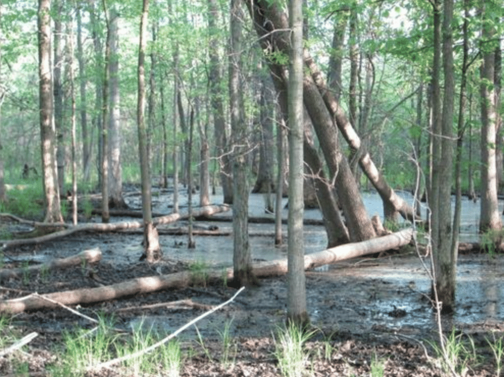 Ontario Wilderness picture. Page Grow our Greenbelt.