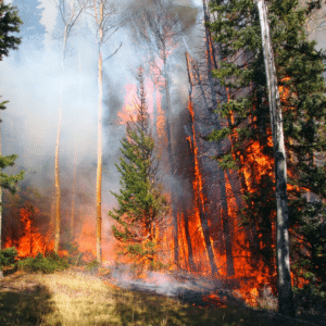 Emissions cap national targets. Photo of a wildfire. Canada Emissions Cap Facts