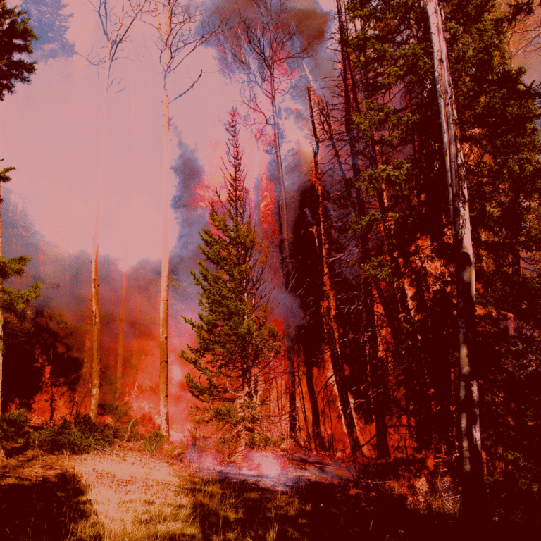 Save the Emissions Cap. Image of a wildfire in red.