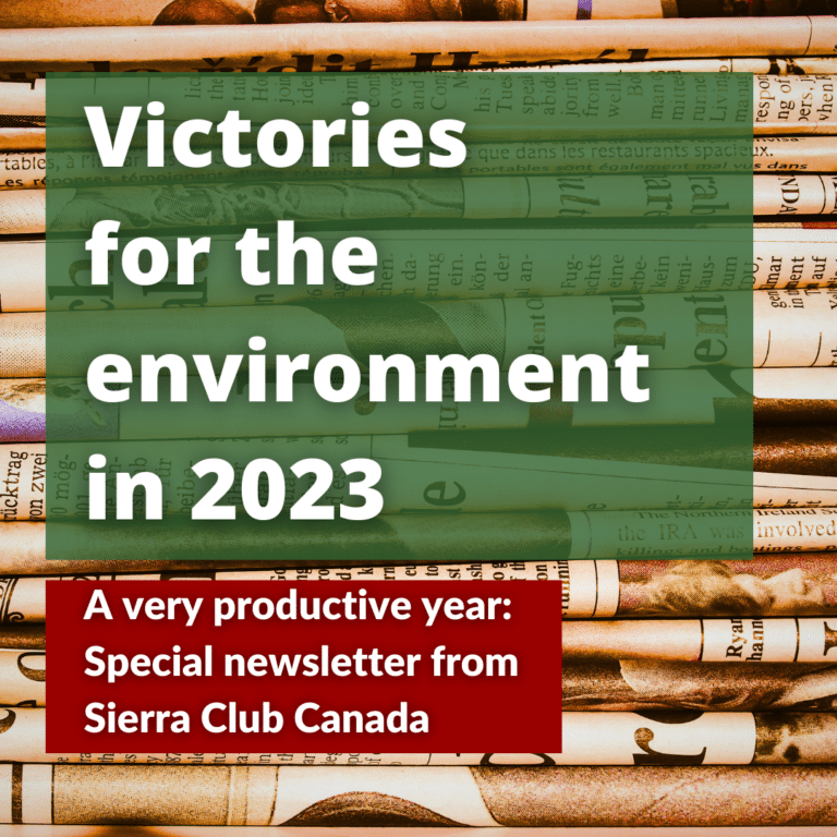 From the page Sierra Club Canada Impact, text reads: Victories for the environment in 2023. A very productive year: Special newsletter from Sierra Club Canada. Over a background of newspapers.