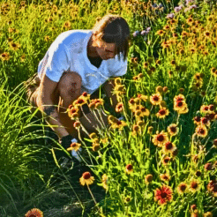 Volunteer at the Sierra Club Canada Prairie Chapter Wildflower Garden in Winnipeg