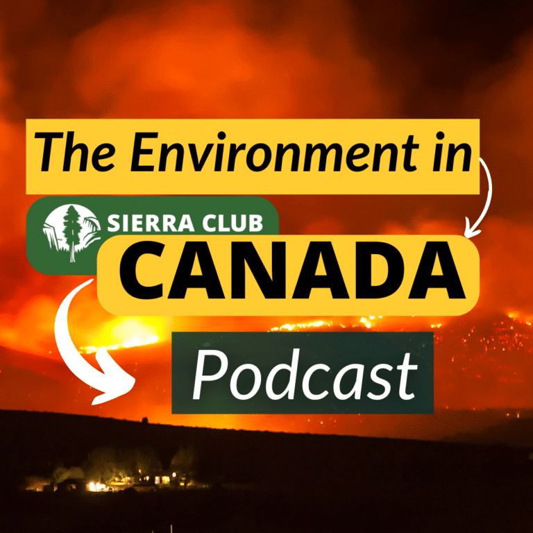 The Carbon Tax Lie page art with The Environment in Canada Podcast on background of a wildfire