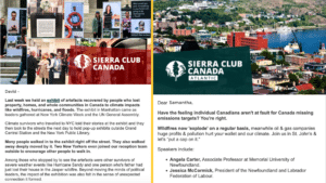 Examples of Emissions Cap Emailers