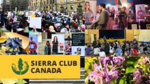 Sierra Club Canada Annual General Meeting 2025 Banner with the Sierra Club Canada logo and images of events from the past year