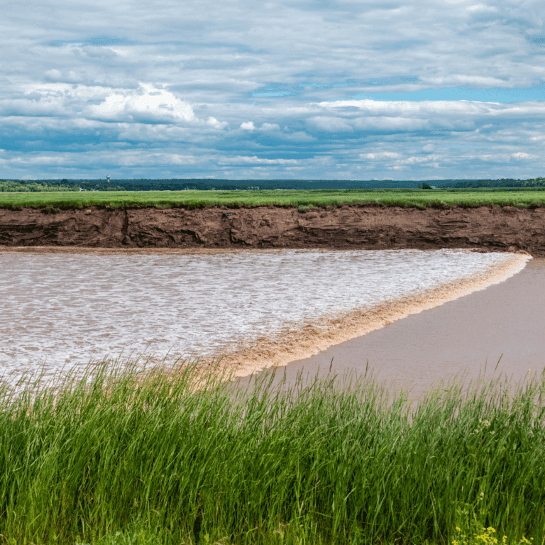 Page: Moncton Many Money Town. Image: Nature near Moncton, New Brunswick, Canada
