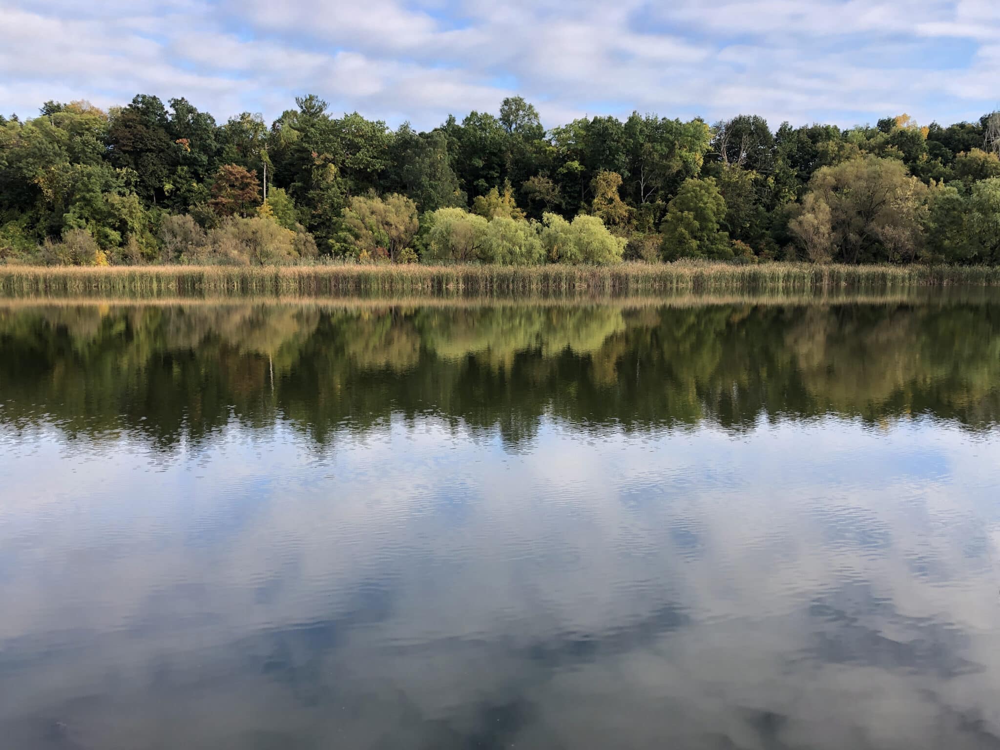 Pond in Early Fall Photo by / par Heather McKinnon