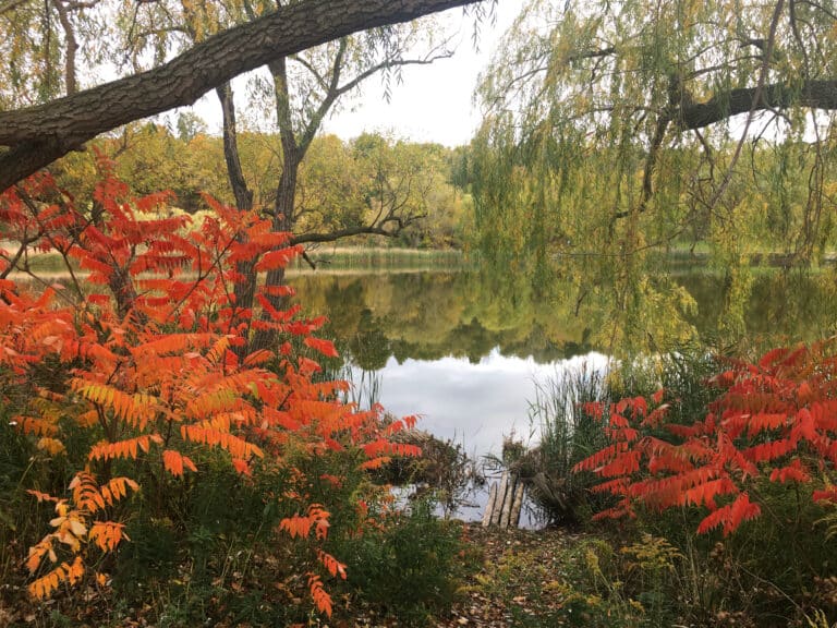 From the page Ontario Bill 5 Power photo of a Pond by Heather McKinnon