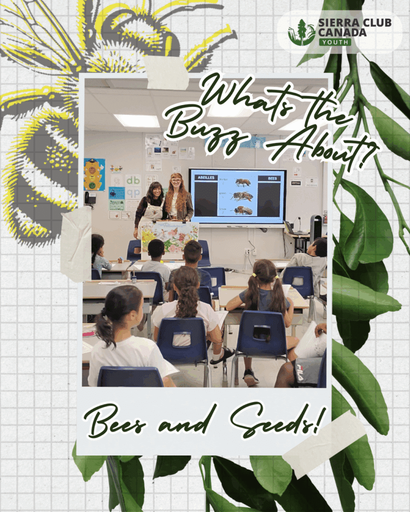 image with text saying "What's the Buzz About?" and "Bees and Seeds!" with a schoolroom of children and two presenters