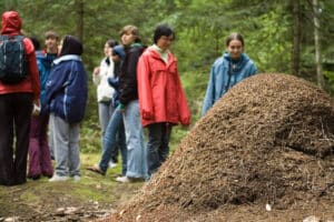 Youth gathering in the woods, pile of mulch to the right
