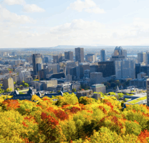 L'environnement c'est intersectionnel page photo of Montreal