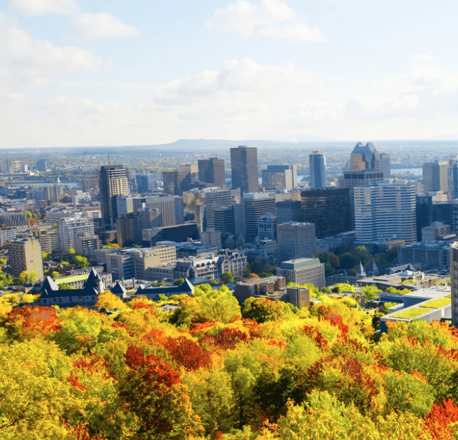 L'environnement c'est intersectionnel page photo of Montreal