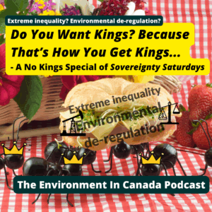No Kings Inequality Deregulation page, picture of ants as kings carrying away a sandwich