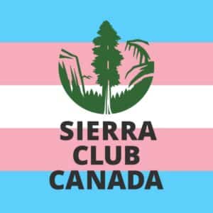 Sierra Club Canada Logo with the transgender flag in the background Page Macdonald-Laurier Institute MLI