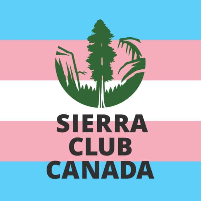 Sierra Club Canada Logo with the transgender flag in the background Page Macdonald-Laurier Institute MLI