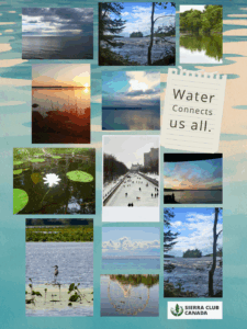 Your Photos Rights Water Collage part 1
