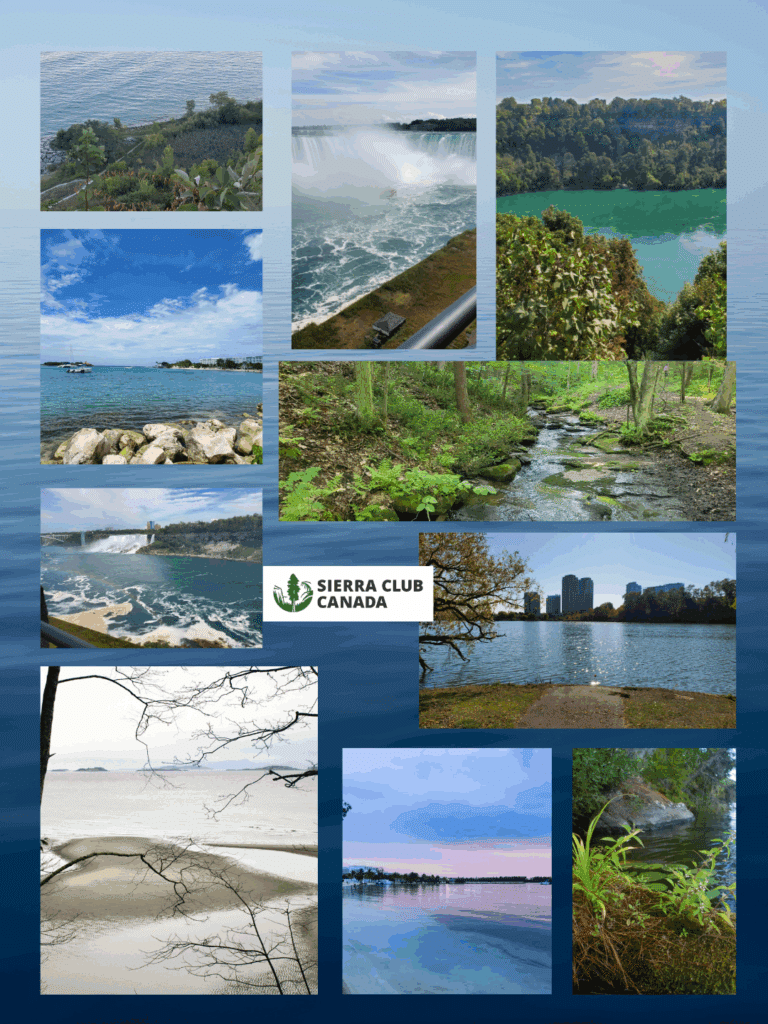 Your Photos Rights Water Collage part 2