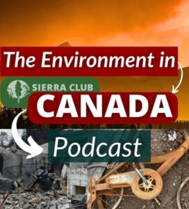 Ksi Lisims LNG Nation Building page picture of forest fire damages and The Environment in Canada Podcast Logo