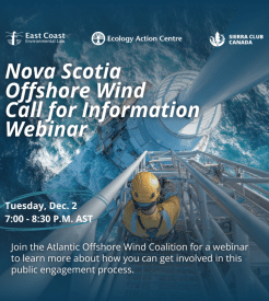 Wind Energy Platform Photo for webinar