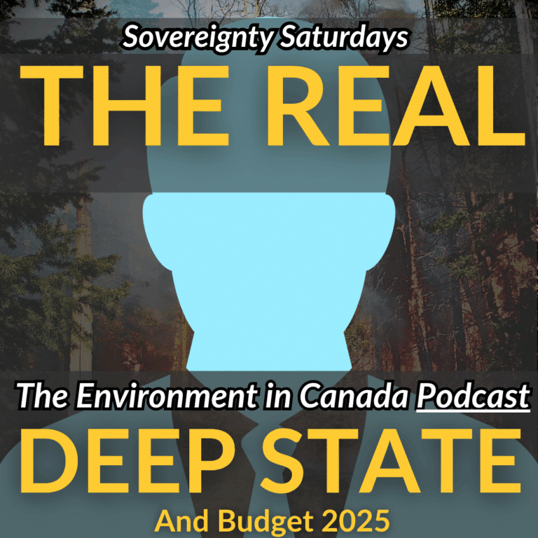 THE REAL Deep State image of an oil and gas corporate lobbyist in front of a wildfire