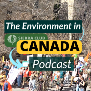 Canada Strong Fund Sovereign Wealth The Environment in Canada Podcast logo over a photo of demonstration against federal government cuts on April 18, 2026