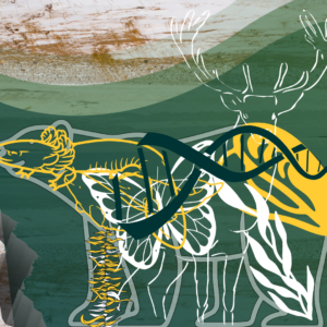 Past the Political Polar Bear Podcast image of other animals overlayed over a polar bear with green a yellow shapes and genetic code
