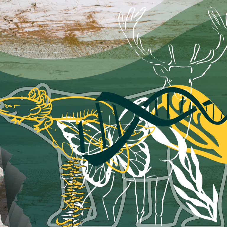 Past the Political Polar Bear Podcast image of other animals overlayed over a polar bear with green a yellow shapes and genetic code